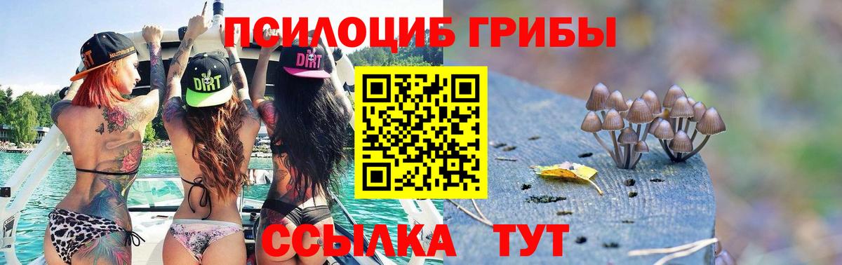 Псилоцибиновые грибы Magic Shrooms  Галлюциногенные грибы Magic Shrooms  закладки  Вход с VPN  Кингисепп 