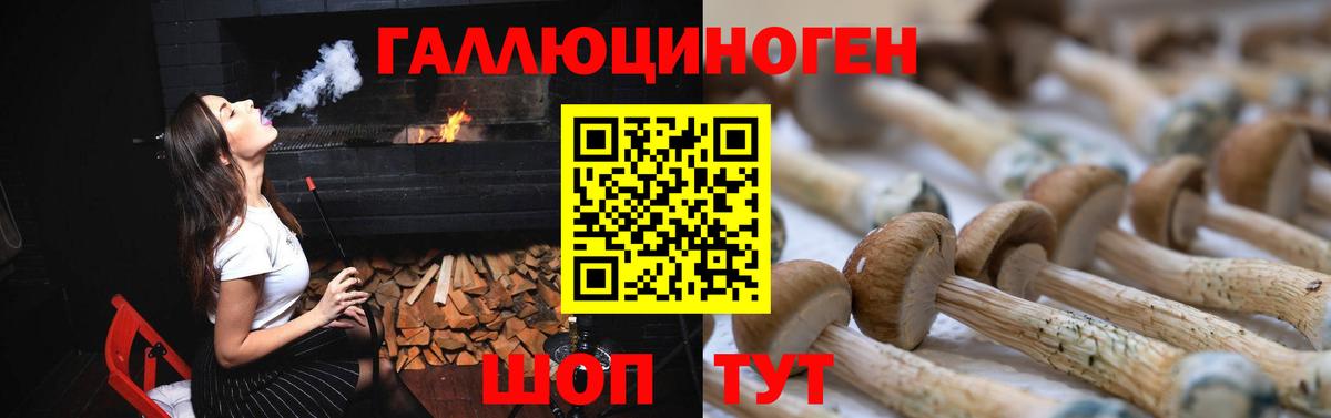 Галлюциногенные грибы мухоморы Кингисепп