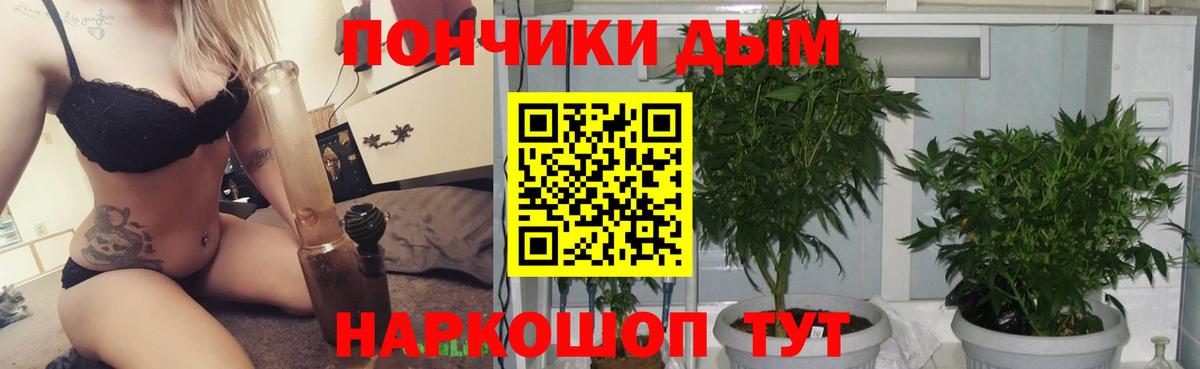 Кингисепп  МАРИХУАНА SATIVA & INDICA  Каннабис планчик  Вход с VPN  МАРИХУАНА VHQ 